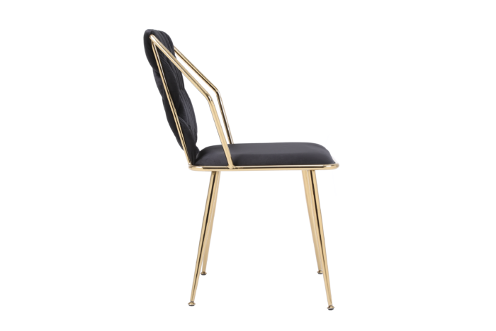 Daisy Black Gold Dining Chair Set of 2